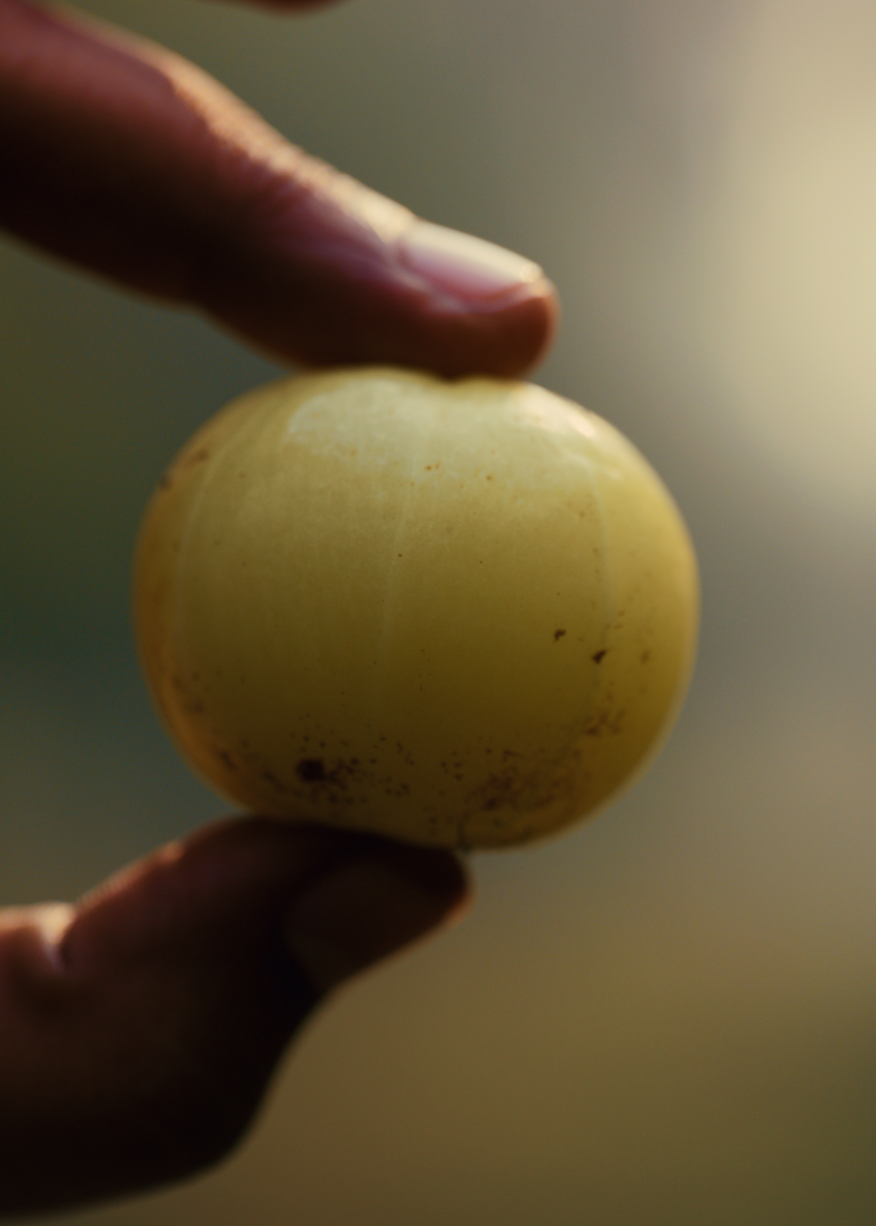 Amla Fruit